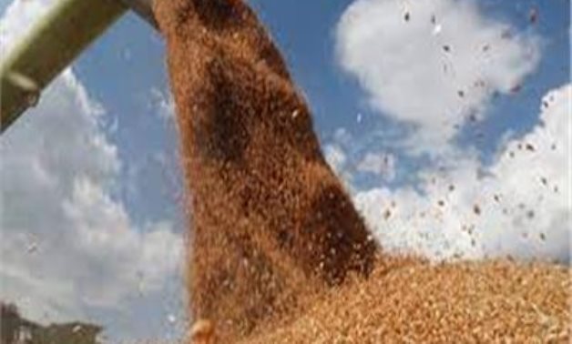 إحالة منحة فرنسية لتطوير صوامع تخزين القمح إلى تشريعية النواب