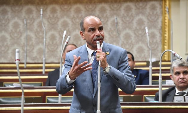 برلمانى : مصر على قلب رجل واحد للحفاظ على أمنها وحدودها