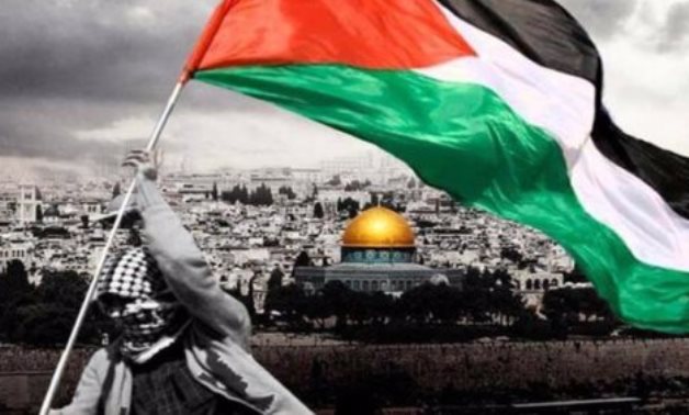 نائب بالشيوخ: الاعتراف بدولة فلسطين واجب أخلاقى وضرورة لتحقيق السلام