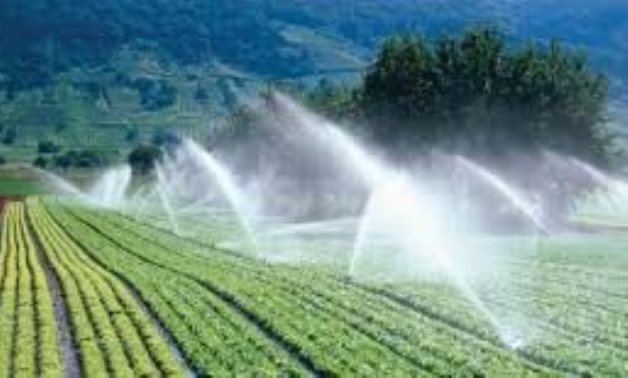 دراسة: مشروعات الاستصلاح الزراعى تواجه عدة تحديات.. ندرة المياه أبرزها