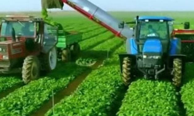 من رحم الصحراء وُلدت التنمية..مشروع "مستقبل مصر" يحول الحلم إلى إنجاز.. نواب: مشروع قومى يترجم رؤية القيادة لبناء الجمهورية الجديدة.. ويعكس إيمان الدولة بالتنمية المستدامة والأمن الغذائى
