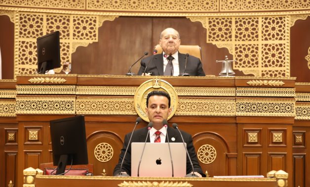 رئيس الشيوخ يرفع الجلسة العامة بعد الموافقة على خطة تنمية مصر 2025/26