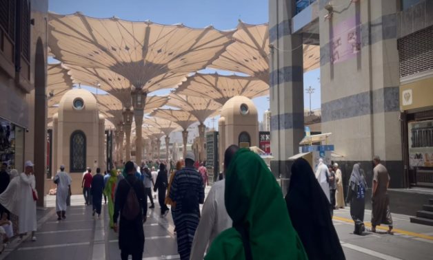من الروضة إلى البقيع.. بعثة الحج المصرية تسير بالحجاج فى دروب النور.. استمرار استقبال المدينة المنورة لضيوف الرحمن.. تواصل التفويج لمكة المكرمة بأتوبيسات حديثة.. حجاجنا بصحة جيدة والبعثة تتابعهم على مدار الساعة