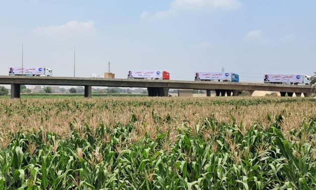 مستقبل وطن يطلق «أضحى الخير» بمحافظة الجيزة