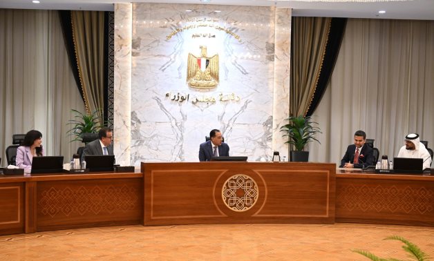 رئيس الوزراء يستعرض مع رئيس "برجيل القابضة" التعاون فى مجال زرع النخاع
