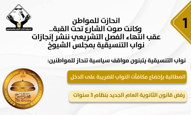 "انحازت للمواطن".. تعرف على إنجازات نواب التنسيقية بالفصل التشريعى لمجلس الشيوخ