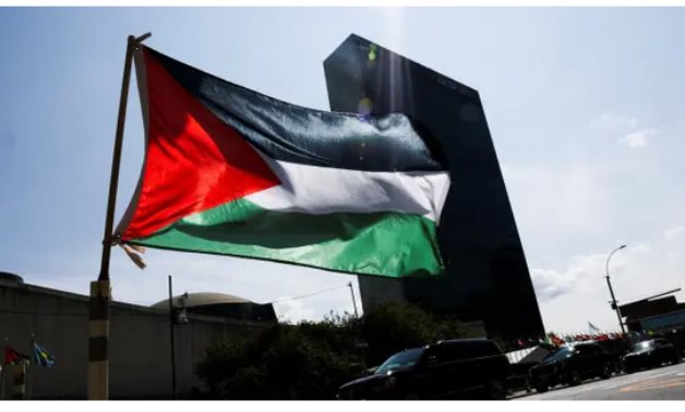 الشيمى: اعتراف فرنسا بفلسطين انتصار دبلوماسى.. ومصر تقود المشهد العربي فى دعم القضية