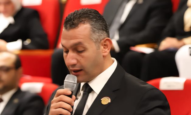 عمرو الشلمة: القمة المصرية الأوروبية خطوة تاريخية تؤكد ريادة القاهرة وشراكتها المتوازنة مع أوروبا