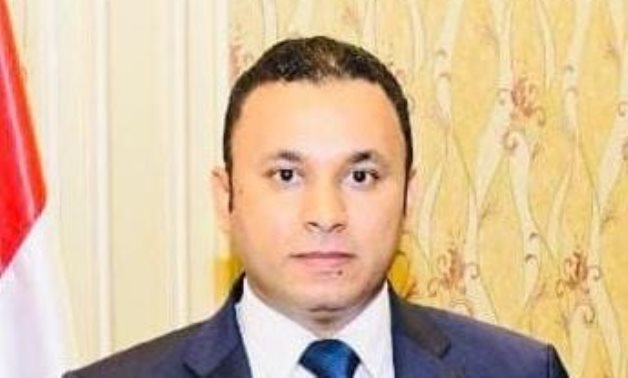 شريف النسيري: المصريون في الخارج ضربوا أروع الأمثلة في الوطنية في انتخابات النواب 2025