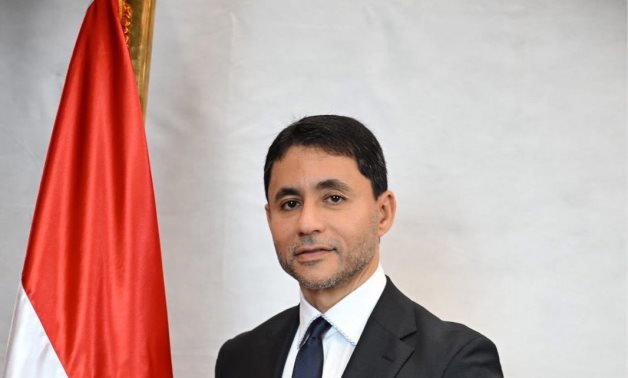 النائب محمد مظلوم: المصريون بالخارج يمثلون شريكًا أساسيًا فى العملية الانتخابية