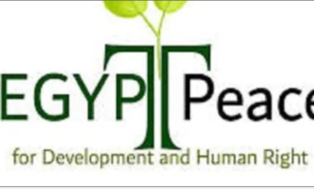 منظمة حقوقية: تصريحات الرئيس بشأن الانتخابات تدعم إجراءات ضبط المخالفات