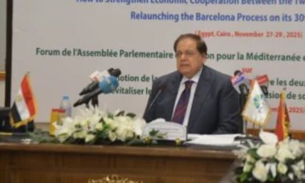 أبو العينين: جهود الرئيس السيسى ساهمت فى إنهاء أزمات الشرق الأوسط