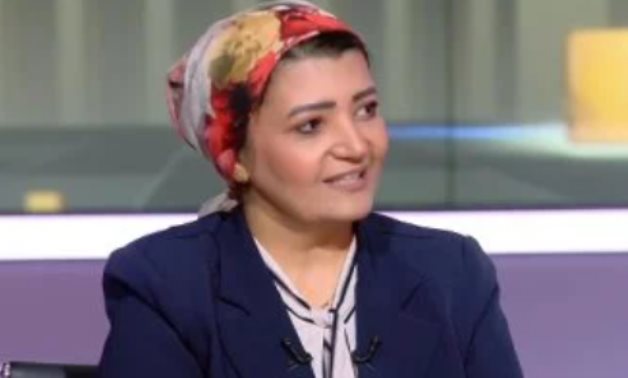 همت سلامة: انتخابات برلمان 2025 الأطول والأهم فى تاريخ مصر الحديث