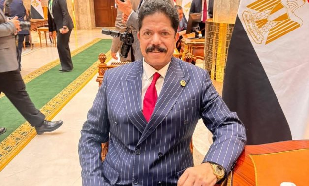 النائب علاء الحديوي: الصحة والتعليم والصناعة والزراعة ستكون على رأس أولوياتى 