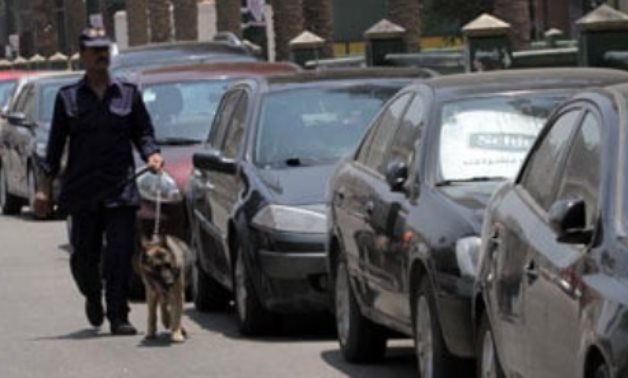 أبطال بلا أوسمة.. كيف تحمي الكلاب البوليسية المجتمع من الجريمة