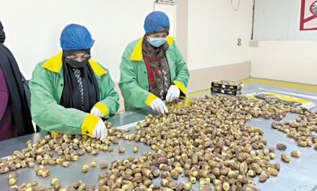 من العوز إلى العمل والإنتاج.. رحلة تغيير حياة الأسر المستفيدة من برامج الدعم النقدى «تكافل وكرامة» إلى التوظيف فى المصانع.. مايا مرسى تقود التمكين الاقتصادى لتحسين حياة الأسر الأولى بالرعاية