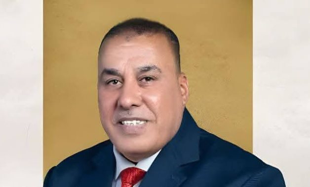 "أبو النصر": لقاء السيسي ورئيس الصومال يؤكد الدور المحوري لمصر في دعم واستقرار القرن الإفريقي