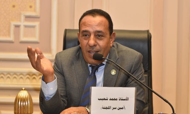 النائب محمد شعيب: اللقاء الأخوي بين "السيسي" و"بن زايد" يرسخ محور الاستقرار العربي 