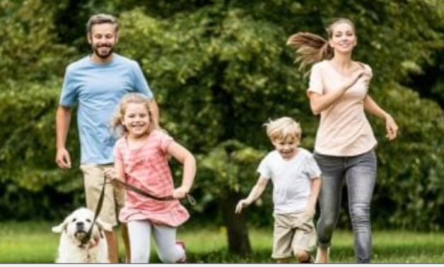 تعرف على ضوابط التنزه بالكلاب.. ارتداء القلادة أبرزها