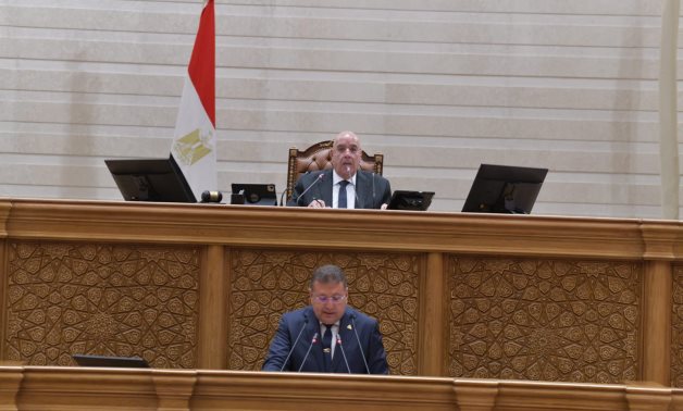 رئيس اقتصادية النواب عن تعديلات "سجل المستوردين": تحد من استيراد السلع غير الضرورية