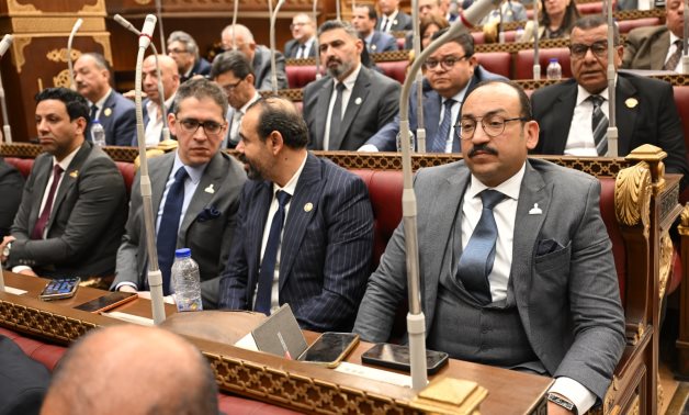 عضو بالشيوخ: نؤيد موقف القيادة السياسية في حماية أمن العرب