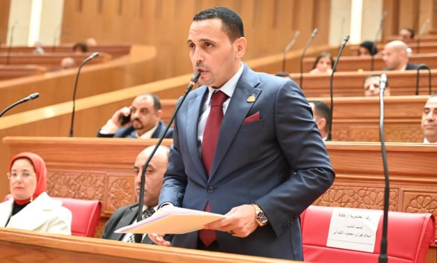 التلوانى: تحركات الخارجية للاطمئنان على الجاليات المصرية تطبيق لاستراتيجية الدولة فى رعاية أبنائها بالخارج