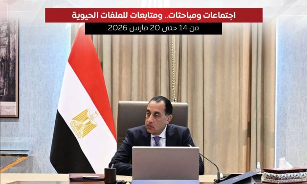مجلس الوزراء يستعرض بالإنفوجراف أبرز أنشطة رئيس مجلس الوزراء هذا الأسبوع