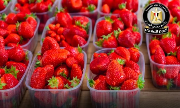 مجلس الوزراء يوضح حقيقة رفض شحنات فراولة مصدرة للخارج لاحتوائها على مواد مسرطنة