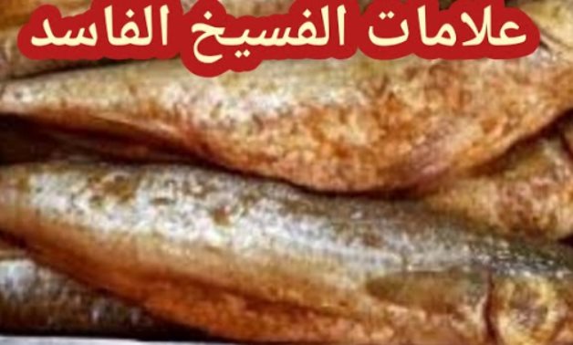 نصائح "حماية المستهلك" للمواطنين في شم النسيم.. 5 فئات يجب إمتناعهم عن تناول الفسيخ والرنجة.. و16 نصيحة يجب الإلتزام بها.. الأبرز وضرورة التأكد من تاريخ الإنتاج.. وعقوبات رادعة للإتجار في الفسيخ والرنجة الفاسدة