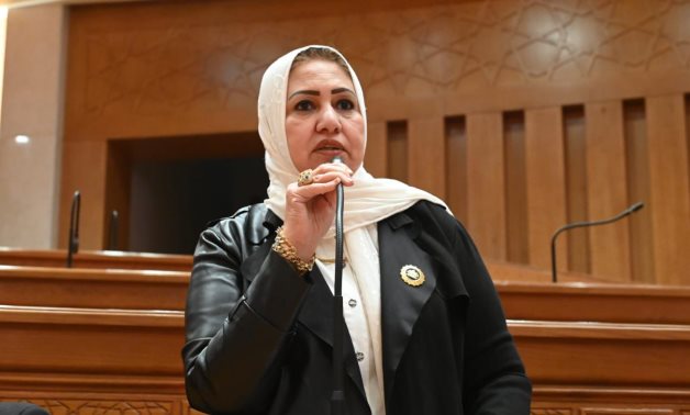 سحر صدقي: توجيهات الرئيس بشأن "مترو الأهرامات" تضع النقل الجماعي في صدارة أولويات الدولة