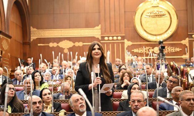 النائبة غادة البدوى: مبادرة "المليون رخصة دولية" تعكس رؤية الدولة لبناء كوادر تنافس عالميًا