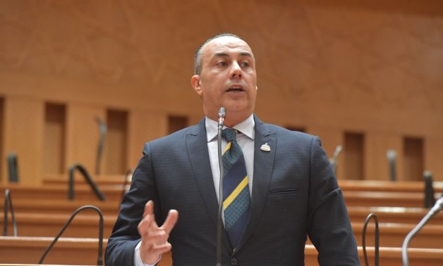 برلماني: السيسي يقود أكبر معركة لتحقيق الأمن الغذائي وبناء مستقبل الزراعة في مصر