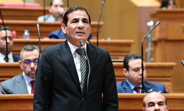 برلمانية الوفد: نرفض التدخل في الشأن الليبي وندعم وحدة الدولة واستقرارها