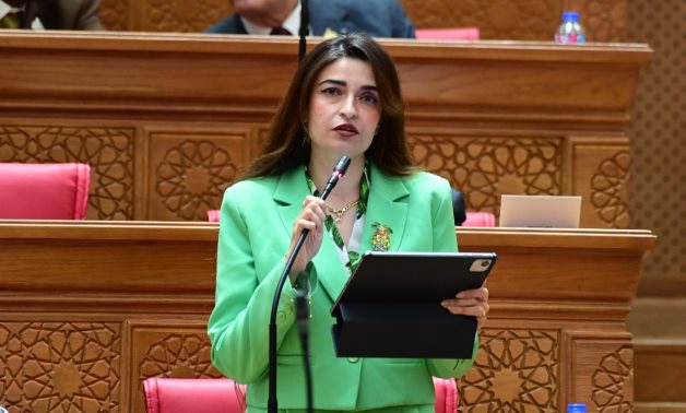 النائبة إيرين سعيد - رئيس الهيئة البرلمانية لحزب الإصلاح والتنمية
