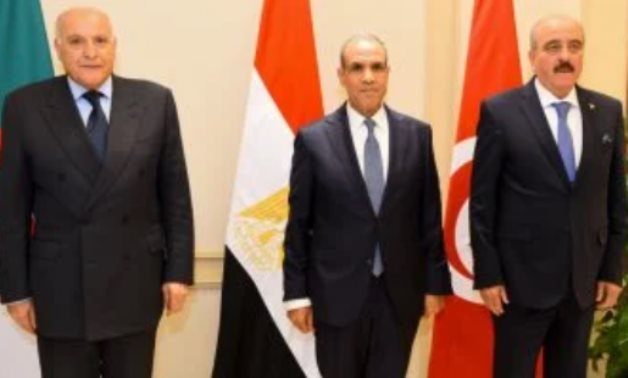 مصر والجزائر وتونس تدفع نحو انتخابات ليبية عاجلة.. وتحذير من الانقسام