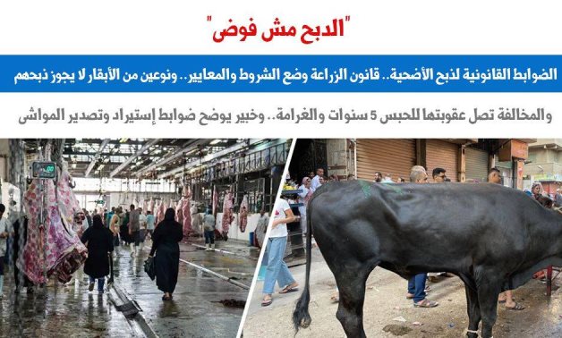 "الدبح مش فوضى".. الضوابط القانونية لذبح الأضحية.. قانون الزراعة وضع الشروط والمعايير.. نوعين من الأبقار لا يجوز ذبحهم.. المخالفة تصل عقوبتها للحبس 5 سنوات والغرامة.. وخبير يوضح ضوابط استيراد وتصدير المواشى