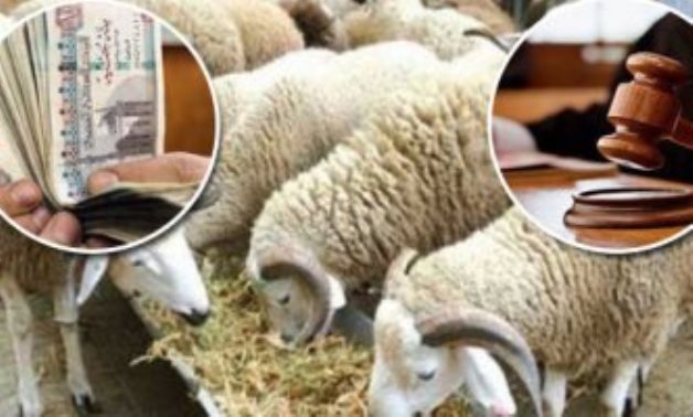 السرقة باسم "الخير".. مع اقتراب عيد الأضحى.. احذر مكالمات النصب باسم "الجمعيات الخيرية" لجمع الأموال.. عصابات دولية مُنظمة تقف وراء الجريمة.. العقوبة تصل للحبس 5 سنوات وغرامة مليون جنيه.. و"الوعى" كلمة السر