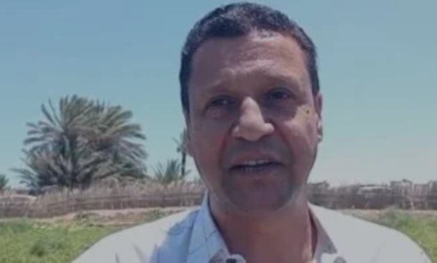 وزارة الزراعة تكشف حقيقة أزمة البطيخ في بلطيم: لا توجد مشكلة قومية