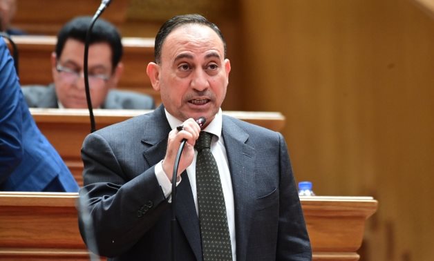 النائب محمد زين الدين يوجه طلب إحاطة بشأن وقف صرف الأسمدة المدعمة للبساتين