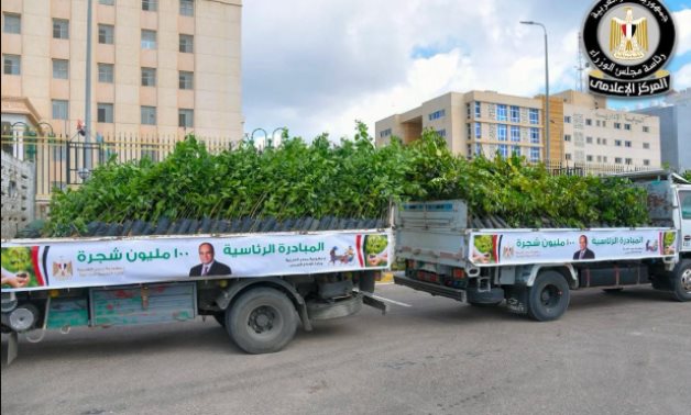 مجلس الوزراء: زراعة أكثر من 200 ألف شجرة بالمرحلة الرابعة لـ"100 مليون شجرة"