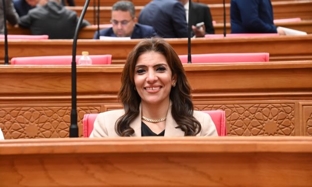 النائبة رانيا الشيمى: تنظيم جهاز مستقبل مصر نقلة نوعية فى مسار تطوير المنظومة التشريعية