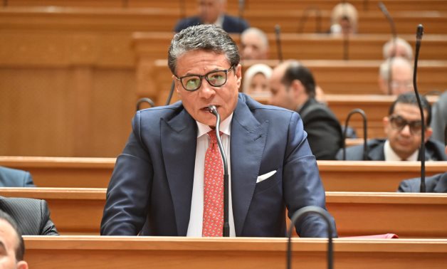 وكيل تشريعية النواب: جهاز مستقبل مصر" خطوة استراتيجية فى بناء اقتصاد قوي ومستدام