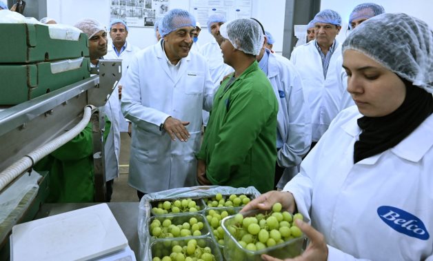 رئيس الوزراء: نحرص على تهيئة بيئة استثمارية تتيح التوسع في التكنولوجيا الزراعية الحديثة