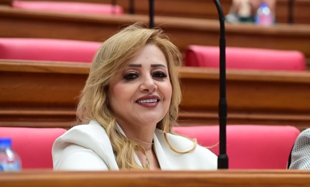 النائبة هبة غالي