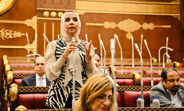 النائبة ولاء هرماس تطالب بتطبيق توصيات «الشيوخ» لحل أزمة تنسيق طلاب مدارس STEM