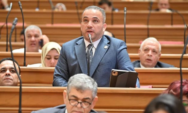 النائب هاني شحاتة: يجب منح الموظف المتعاطي فرصة ثانية للعلاج والتأهيل قبل فصله