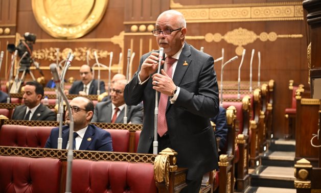 النائب حازم الجندي يطالب بتوجيه العوائد الاستثمارية لقطاعات الصناعة والتكنولوجيا والأنشطة القابلة للتصدير