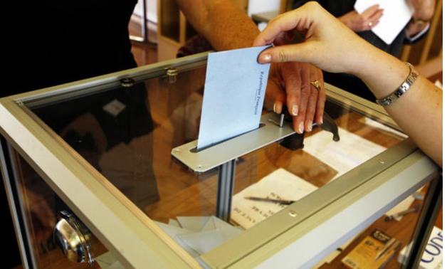 "برلمانى" ينشر مادة تنظيم عملية تصويت المصريين بالخارج