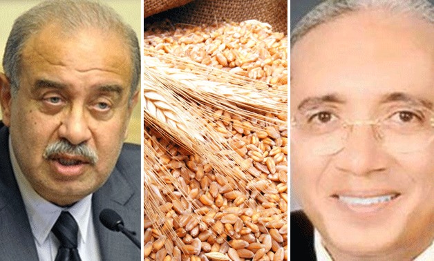 ياسر عمر "نائب أسيوط" مشيدًا بلقاء رئيس الوزراء لحل أزمة القمح: بداية جيدة للحكومة