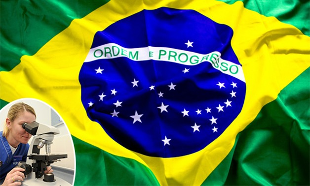 البرازيل تعلن عن اختبار سريع يكشف عن الإصابة بفيروس "زيكا" فى 20 دقيقة فقط